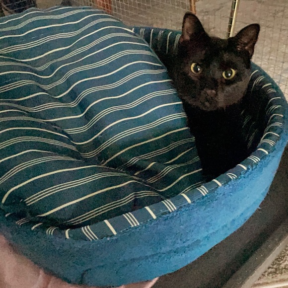 Meet your Posher, Maria - Picture 2 of 2